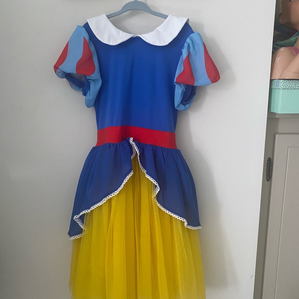 Taylor Joelle princess dress